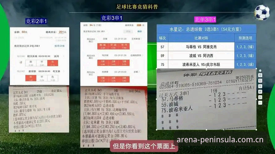 半岛体育竞猜攻略 vs 普通观赛：哪个更适合你的赛事体验？